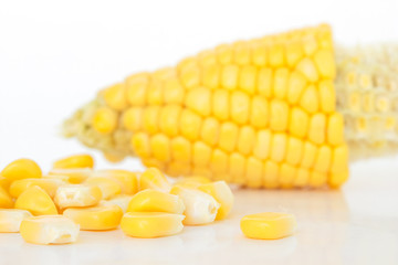 corn organic food nature background