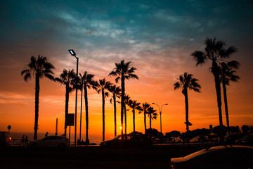 Silhouette of palm trees, street lights and cars on the Miraflores boardwalk, Lima, Peru during...