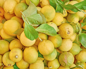 organic lemons top view, natural yellow background