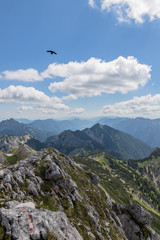 Ammergauer Hochplatte3