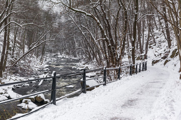 Bodetal im Harz Winterlandschaft