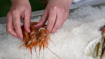 Hands of the cook superimpose fresh shrimp on ice in a seafood restaurant. Recipes for cooking. Slow motion shot.