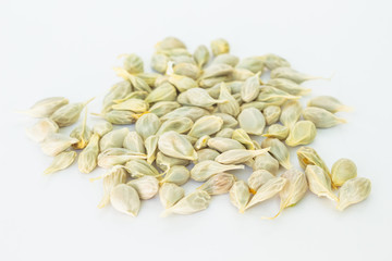 seed orange  fruit fresh on white background