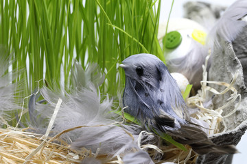 Bird in the nest arrangement with egg and straw