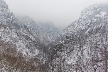 Fototapeta premium Bodetal im Harz Winterlandschaft