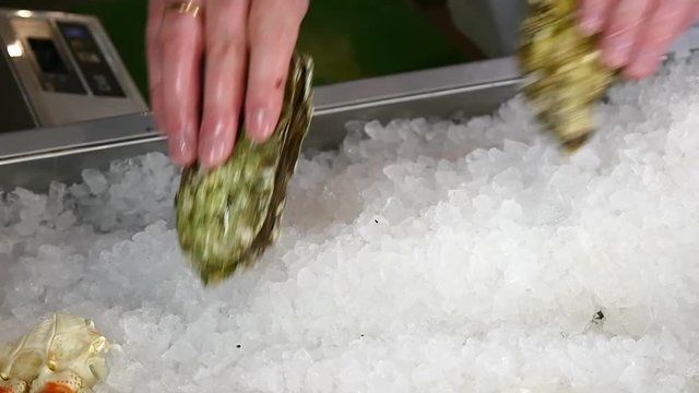 Hands of the cook superimpose fresh oysters on ice in a seafood restaurant. Recipes for cooking. Slow motion shot.