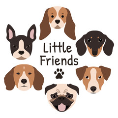 Set of 6 dog icons featuring the muzzle of a Pug, French Bulldog, Jack Russel Terrier, Dachshund, Beagle and Cavalier King Charles Spaniel. Vector illustration.