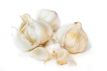 Knoblauch Knolle isoliert