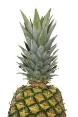 tropical summer fruit, pineapple on white background