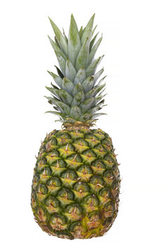tropical summer fruit, pineapple on white background