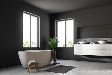 Gray Scandinavian bathroom corner, tub and sink