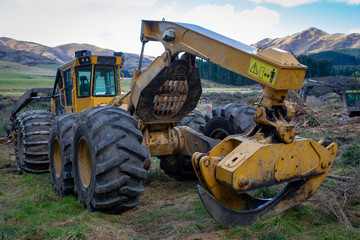 Logging machinery used on a logging site in a pine forestry area