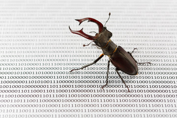 Bug's search in programm code. Testing software, quality assurance.