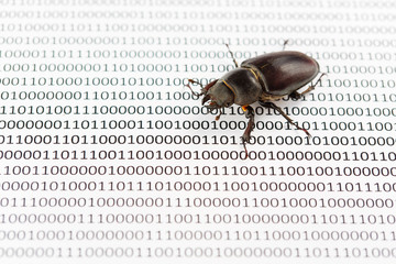 Bug's search in programm code. Testing software, quality assurance.