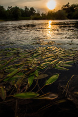Valley river natural landscape view. Beautiful Sunset
