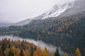 La nebbia nella valle, sembra dividere autunno ed inverno