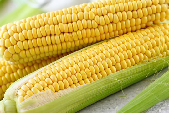 Fresh raw corn