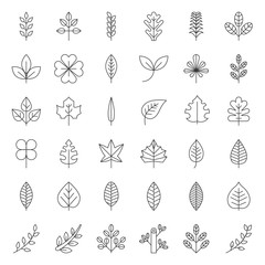 Leaves and branch icon set, thin line design