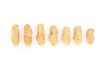 peanut in shell row on white background