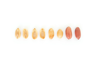 peanut row on white background