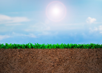 Cross section of grass and soil, on sunny sky clouds background.