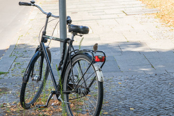 Fototapeta na wymiar Spatz auf einem Fahrrad blickt in die Ferne