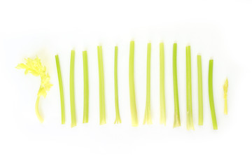 celery stalk vegetable organic food healthy nature on white background