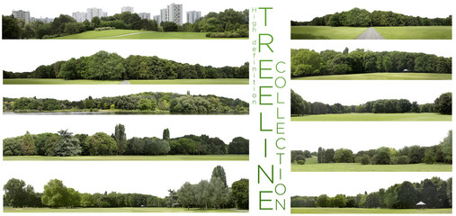 Very high definition Treeline collection isolated on a white background