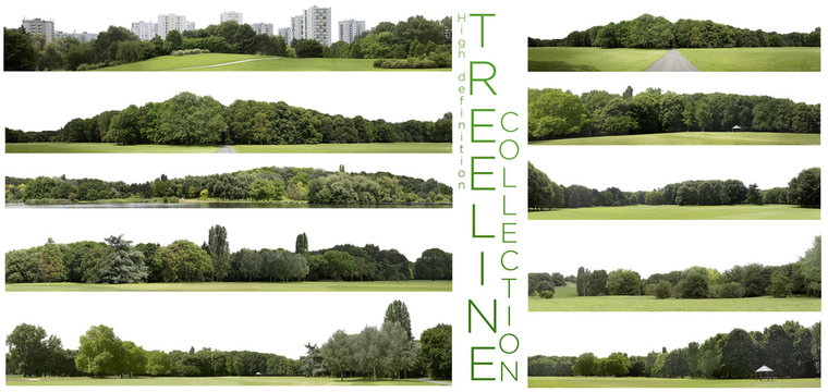 Treeline Images – Browse 65,359 Stock Photos, Vectors, and Video