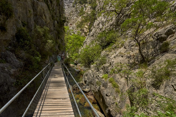 The Sapadere canyon in the Taurus mountains, Alanya, Turkey