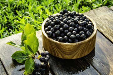 chokeberry in a wooden bowl in the morning garden