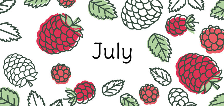 July raspberry vector. Hand drawn design. Doodle sketch. Fruit calendar