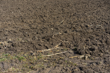 empty farming soil, brown earth close up