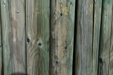 green wood board wall close up view for background