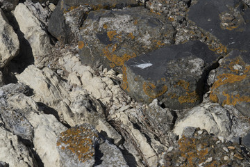 building material of the jetty