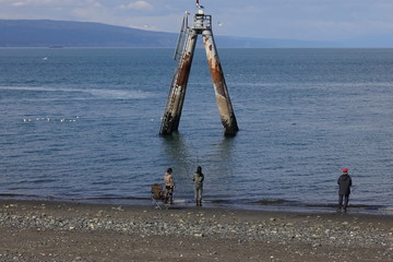Fishing in homer harbor. 