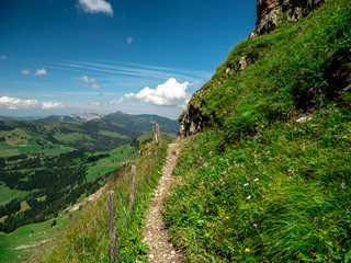 Fototapeta na wymiar beautiful hiking path in the swiss alps