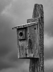 House on a Pole