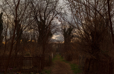 Fototapeta na wymiar the road to the cemetery at dusk