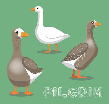 Domestic Goose Pilgrim Cartoon Vector Illustration