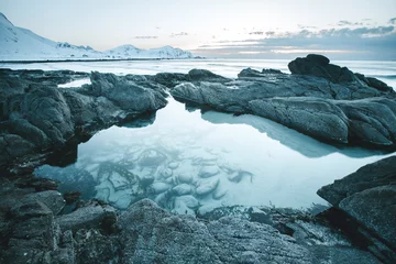 Stickers pour porte Reinefjorden Norway lofoten winter landscape