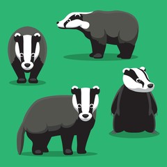 Cute Badger Cartoon Poses Vector Illustration