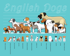 English Dogs Size Comparison Set Cartoon Vector Illustration