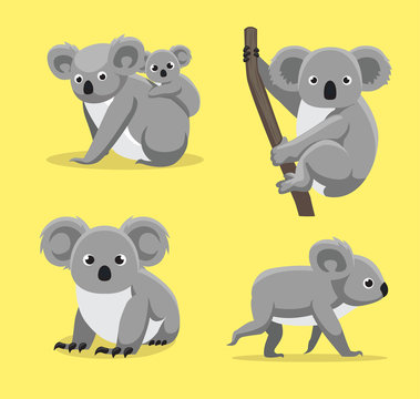 Cute Koala Poses Cartoon Vector Illustration
