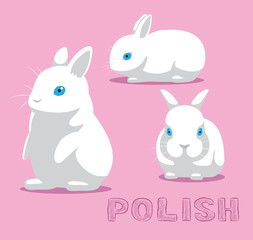 Rabbit Polish Cartoon Vector Illustration