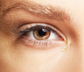 Obraz premium Female eye. Closeup macro beauty portrait of young woman face