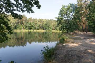 Beautiful forest lake with reflection of trees in the water