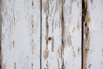 Old white wooden surface as background, wallpaper.