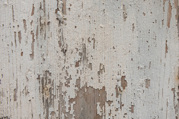Old white wooden surface as background, wallpaper.