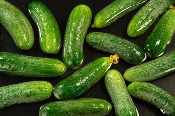Top view of green cucumbers in water